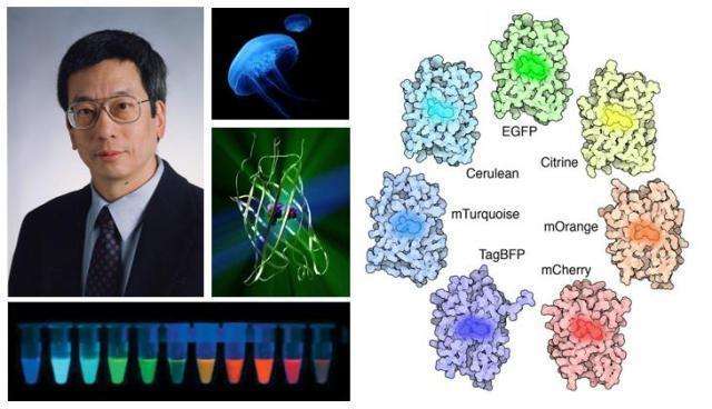 最新揭秘：病毒起源的曙光已现，科学探索带来希望之光