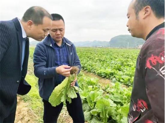 郴州资讯快报：最新喜悦播报，美好未来同在