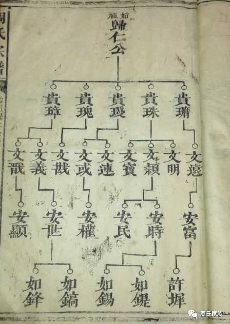 磁县最新宗谱汇编：揭秘家族传承新篇章