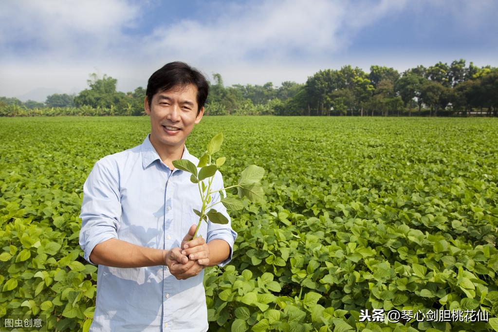 寿光地区人才招聘资讯——掌上便捷，手机版最新职位速递