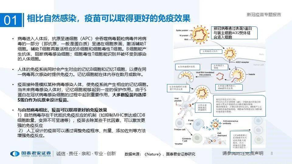 最新突破：胃病疫苗评审进展全解析，揭秘研发新动态！